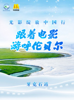 视频你懂